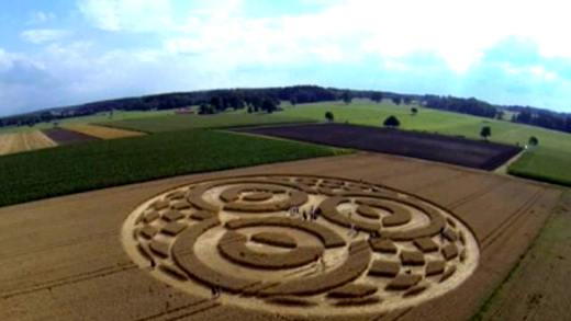 wheat field-vi...